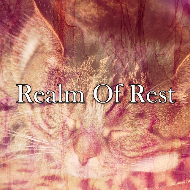 Couverture de Realm Of Rest