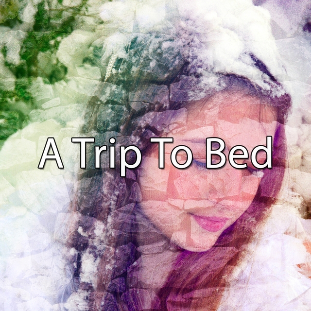 A Trip To Bed