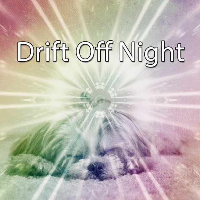 Couverture de Drift Off Night