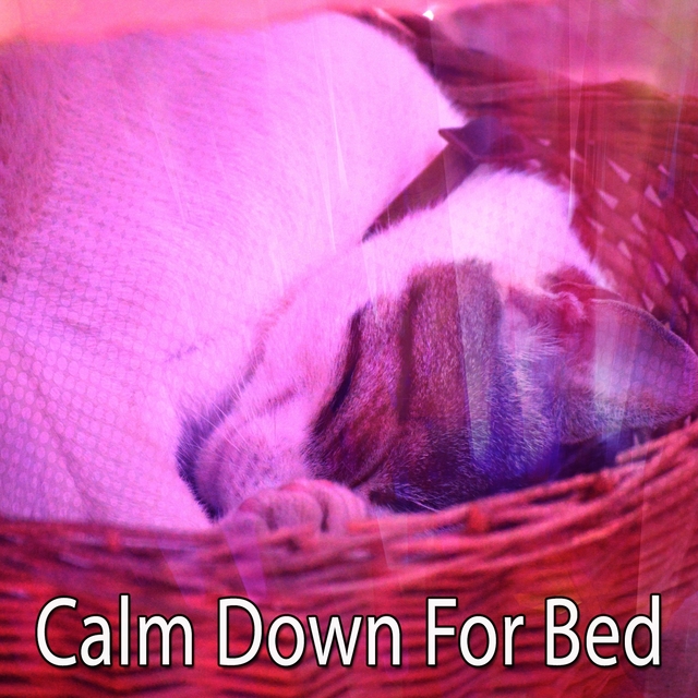 Calm Down For Bed