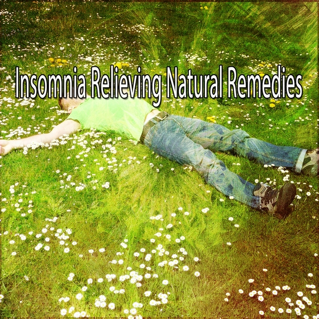 Couverture de Insomnia Relieving Natural Remedies