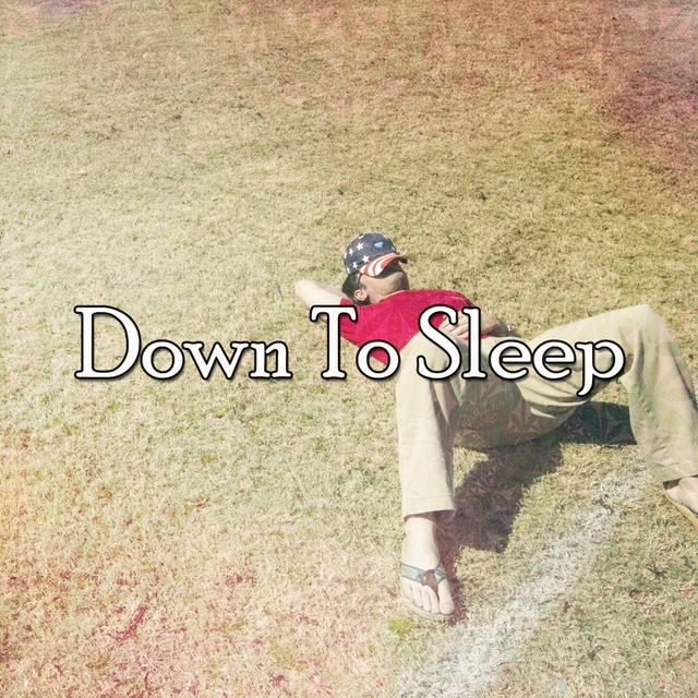 Couverture de Down To Sleep