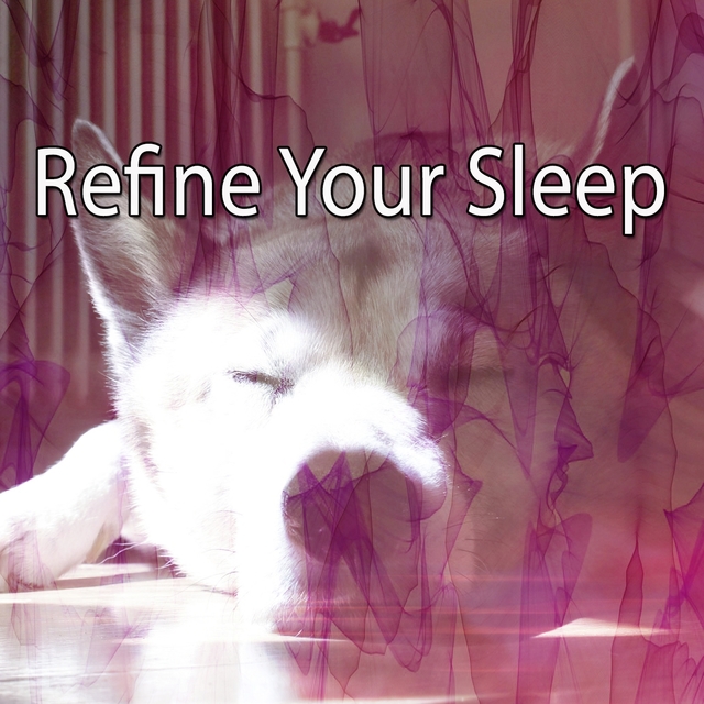 Couverture de Refine Your Sleep