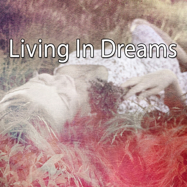 Couverture de Living In Dreams