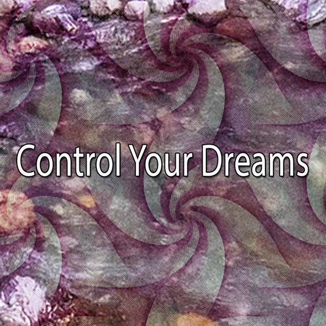 Couverture de Control Your Dreams