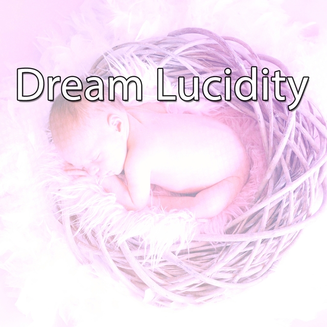 Dream Lucidity