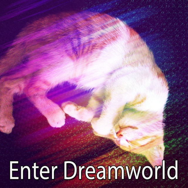 Couverture de Enter Dreamworld