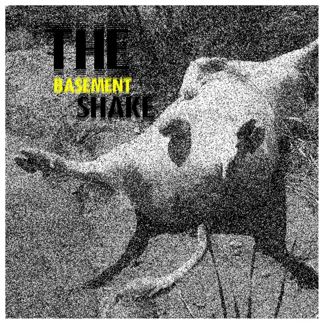 Couverture de The Basement Shake