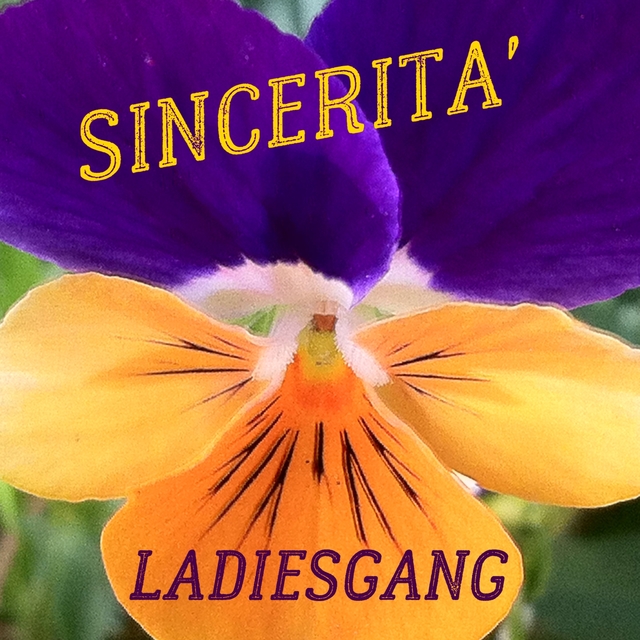 Couverture de Sincerità