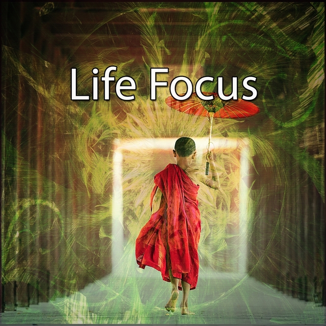 Couverture de Life Focus