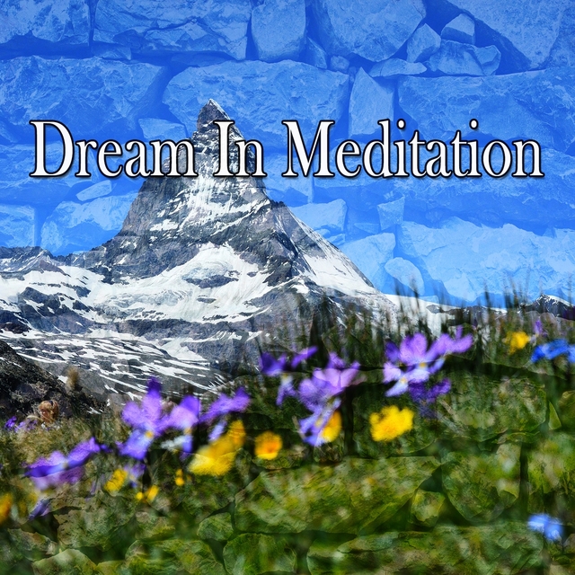 Couverture de Dream In Meditation