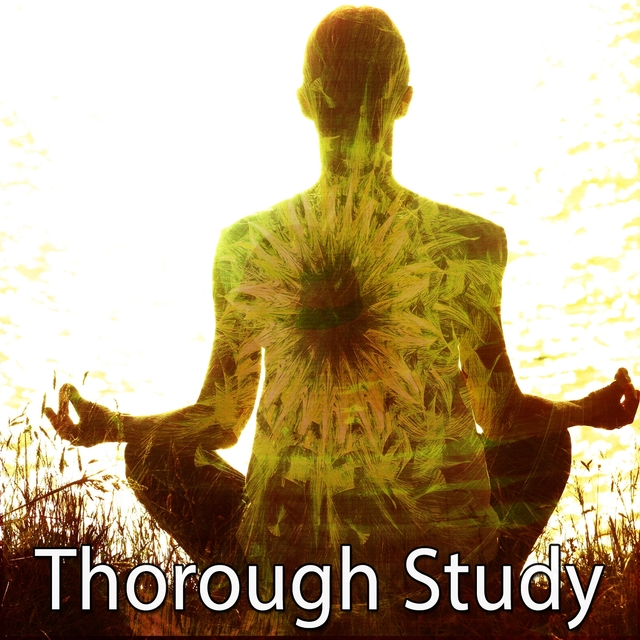 Couverture de Thorough Study