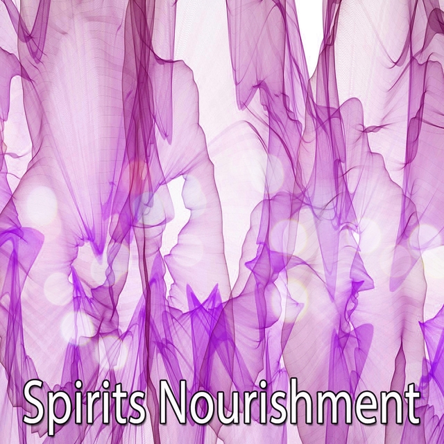 Couverture de Spirits Nourishment