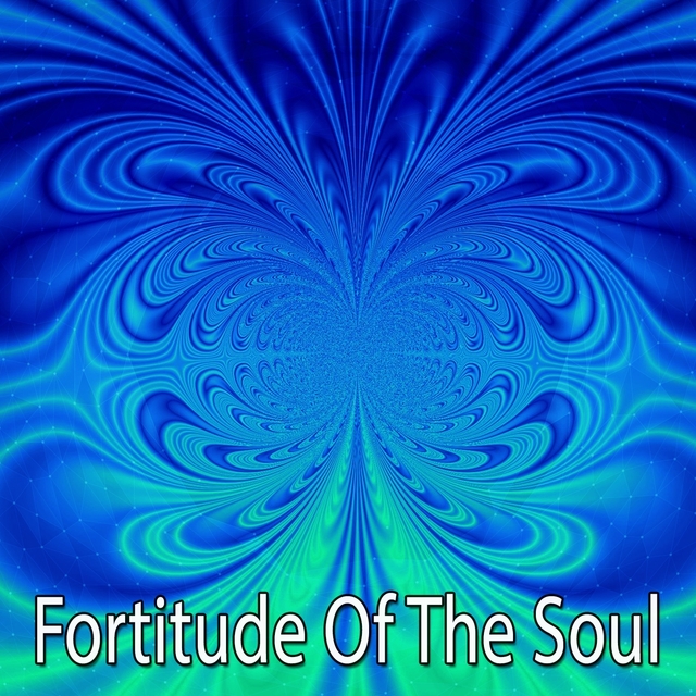 Couverture de Fortitude Of The Soul