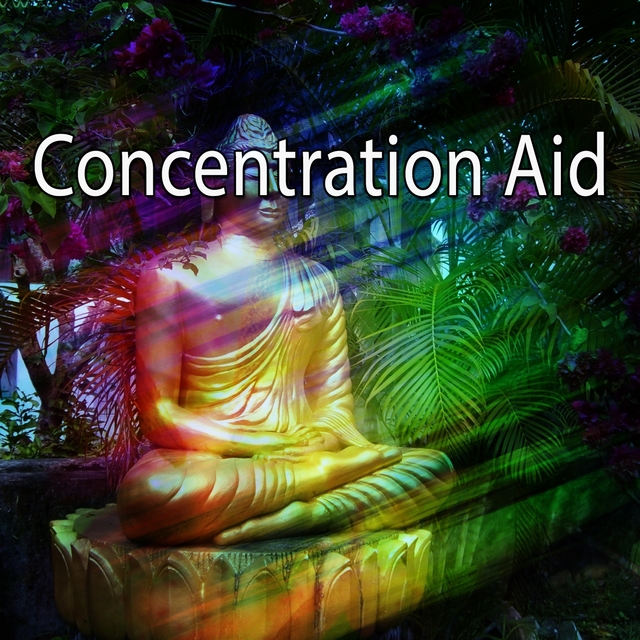 Concentration Aid