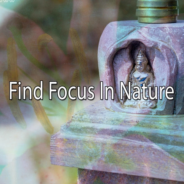 Find Focus In Nature