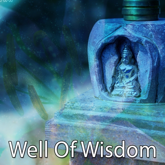 Couverture de Well Of Wisdom