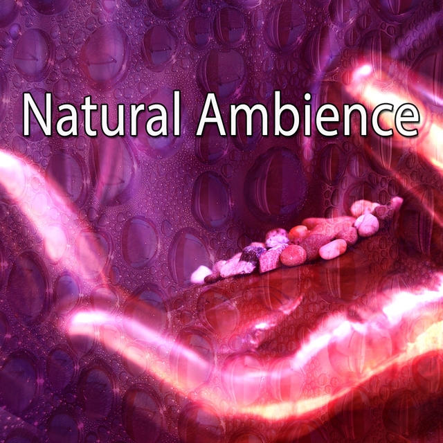 Natural Ambience