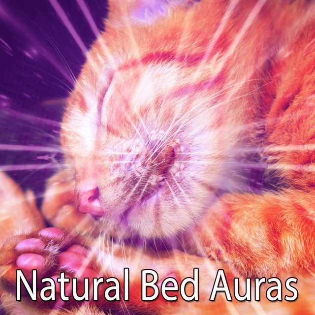 Natural Bed Auras