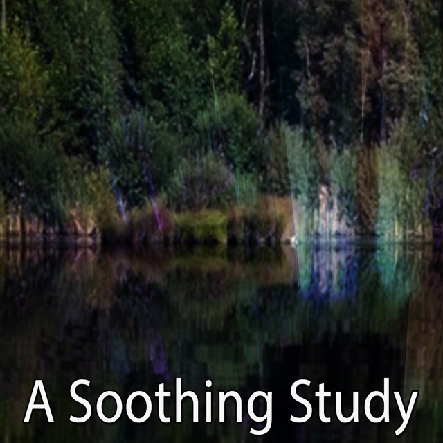 Couverture de A Soothing Study