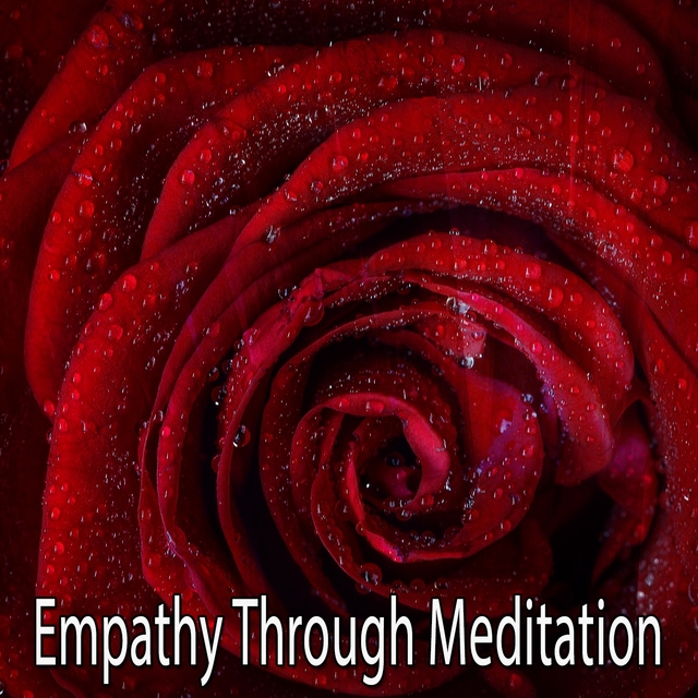 Couverture de Empathy Through Meditation