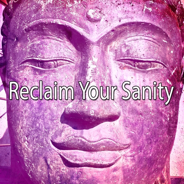 Couverture de Reclaim Your Sanity