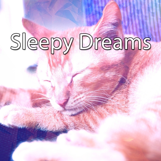 Couverture de Sleepy Dreams