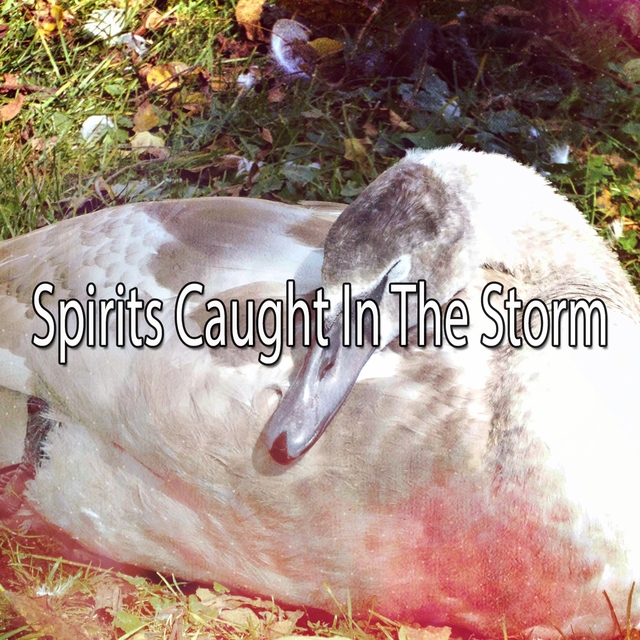 Spirits Caught In The Storm