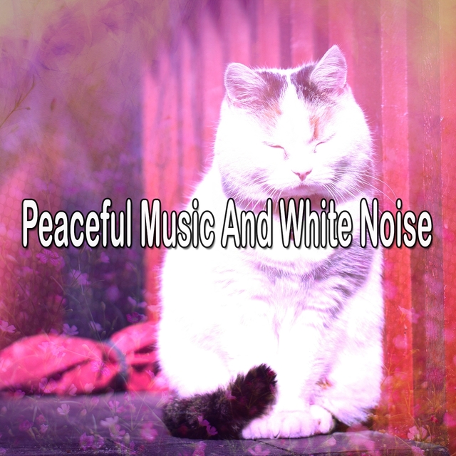 Peaceful Music And White Noise