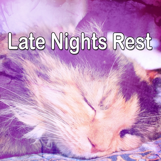 Couverture de Late Nights Rest