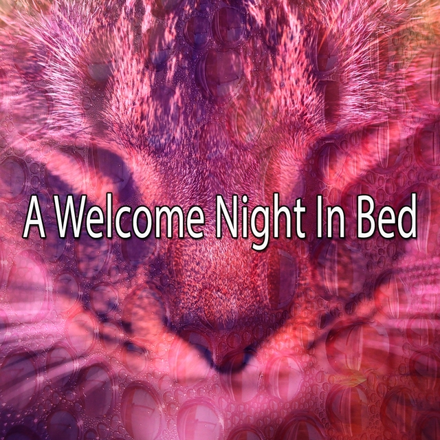 A Welcome Night In Bed