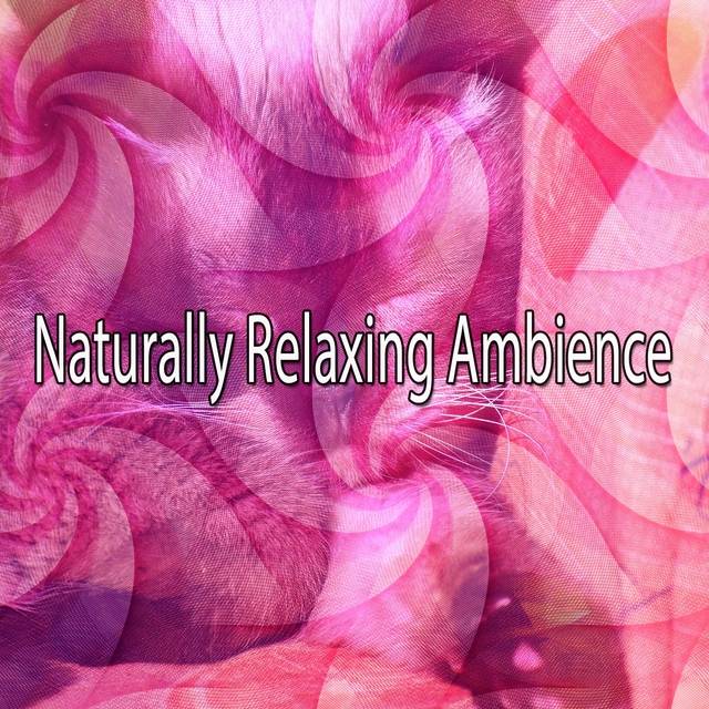 Couverture de Naturally Relaxing Ambience