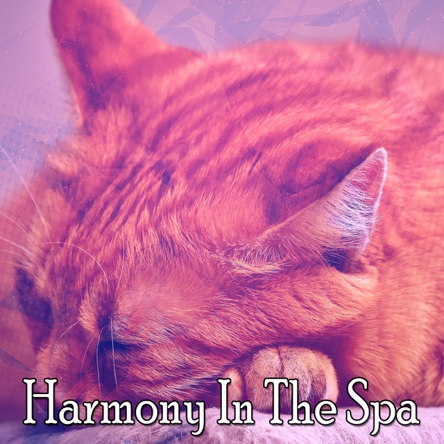Harmony In The Spa