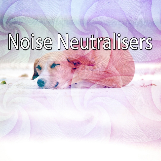 Noise Neutralisers