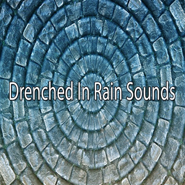 Drenched In Rain Sounds