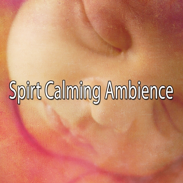 Spirt Calming Ambience