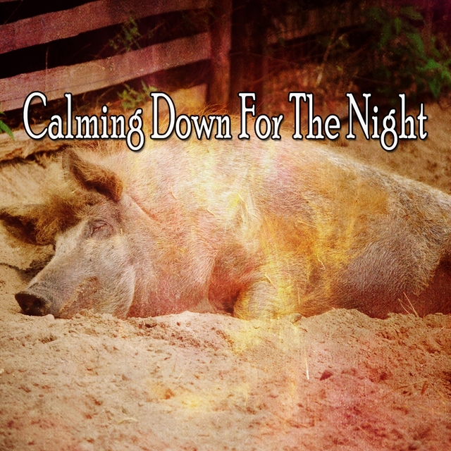 Couverture de Calming Down For The Night