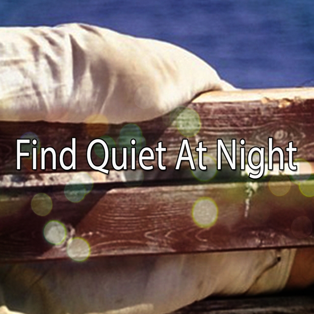 Couverture de Find Quiet At Night