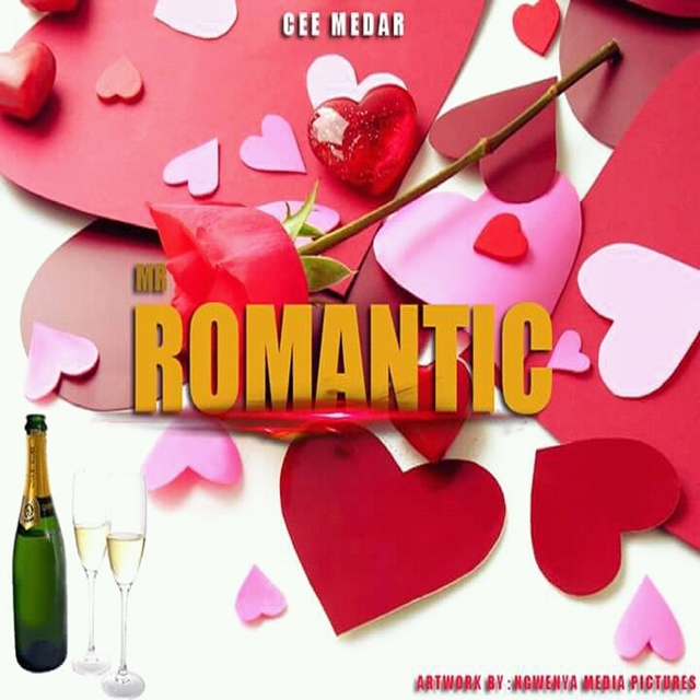 Couverture de Mr. Romantic