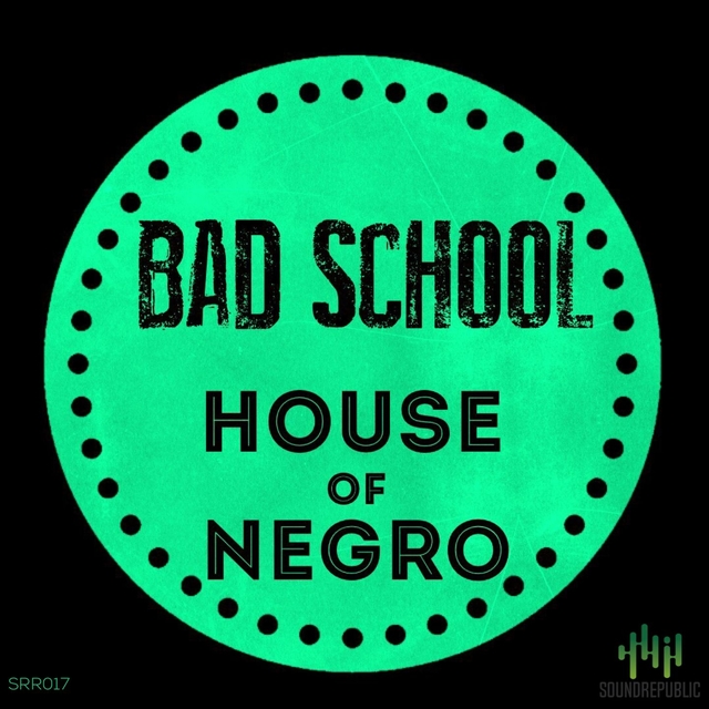 Couverture de House of Negro