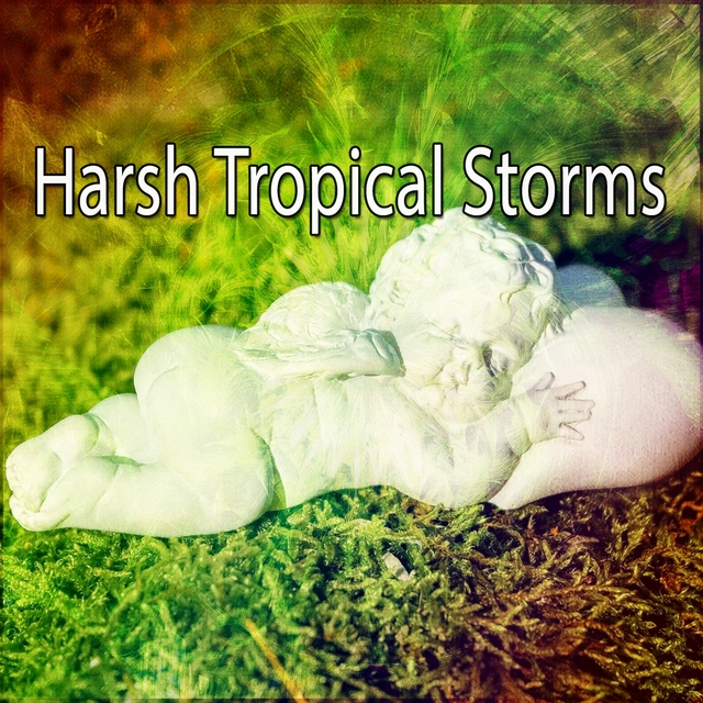 Couverture de Harsh Tropical Storms