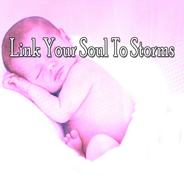 Couverture de Link Your Soul To Storms