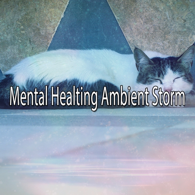 Couverture de Mental Healting Ambient Storm