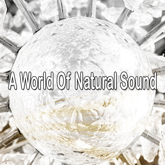 Couverture de A World Of Natural Sound