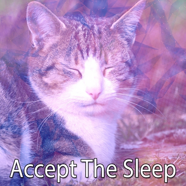 Couverture de Accept The Sleep