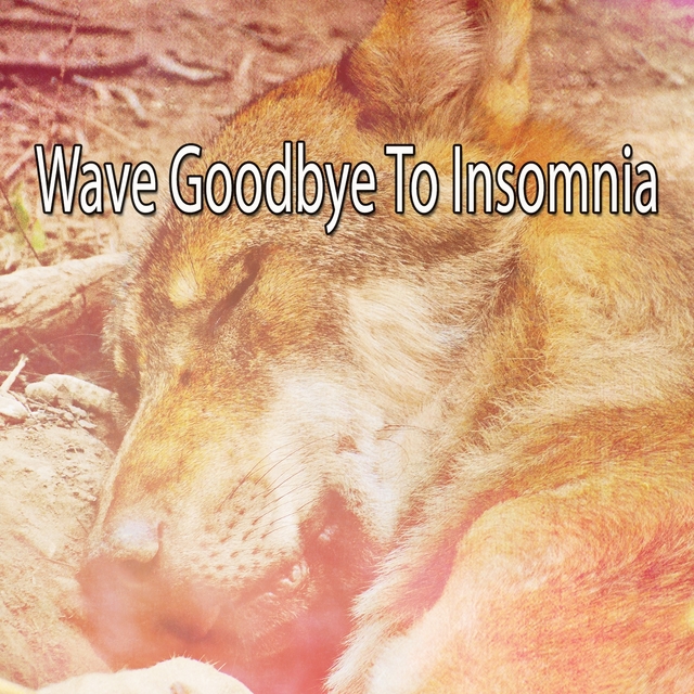 Wave Goodbye To Insomnia