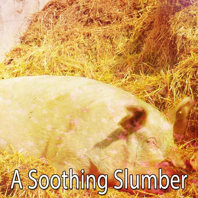 Couverture de A Soothing Slumber