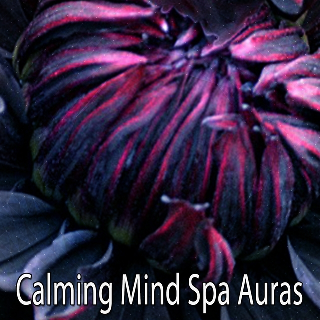 Calming Mind Spa Auras