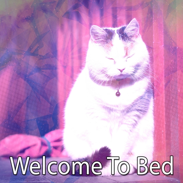 Couverture de Welcome To Bed