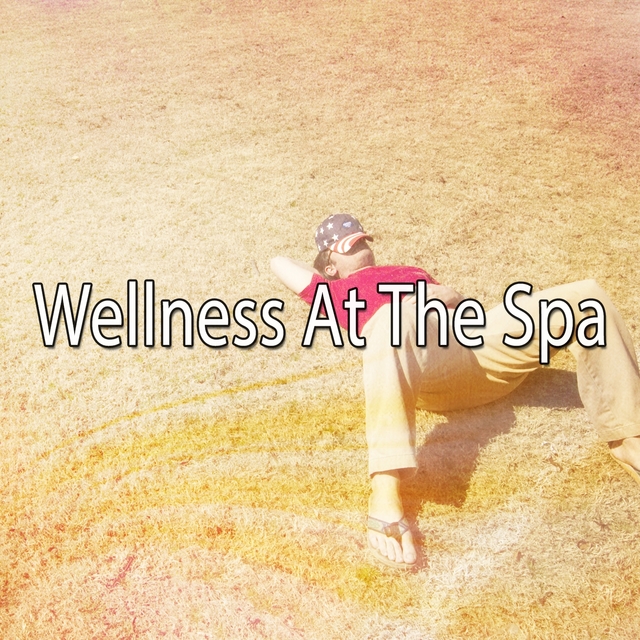 Wellness At The Spa